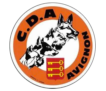 cda avignon